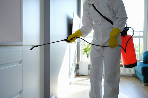 Best Industrial Mold Remediation in Dale, PA